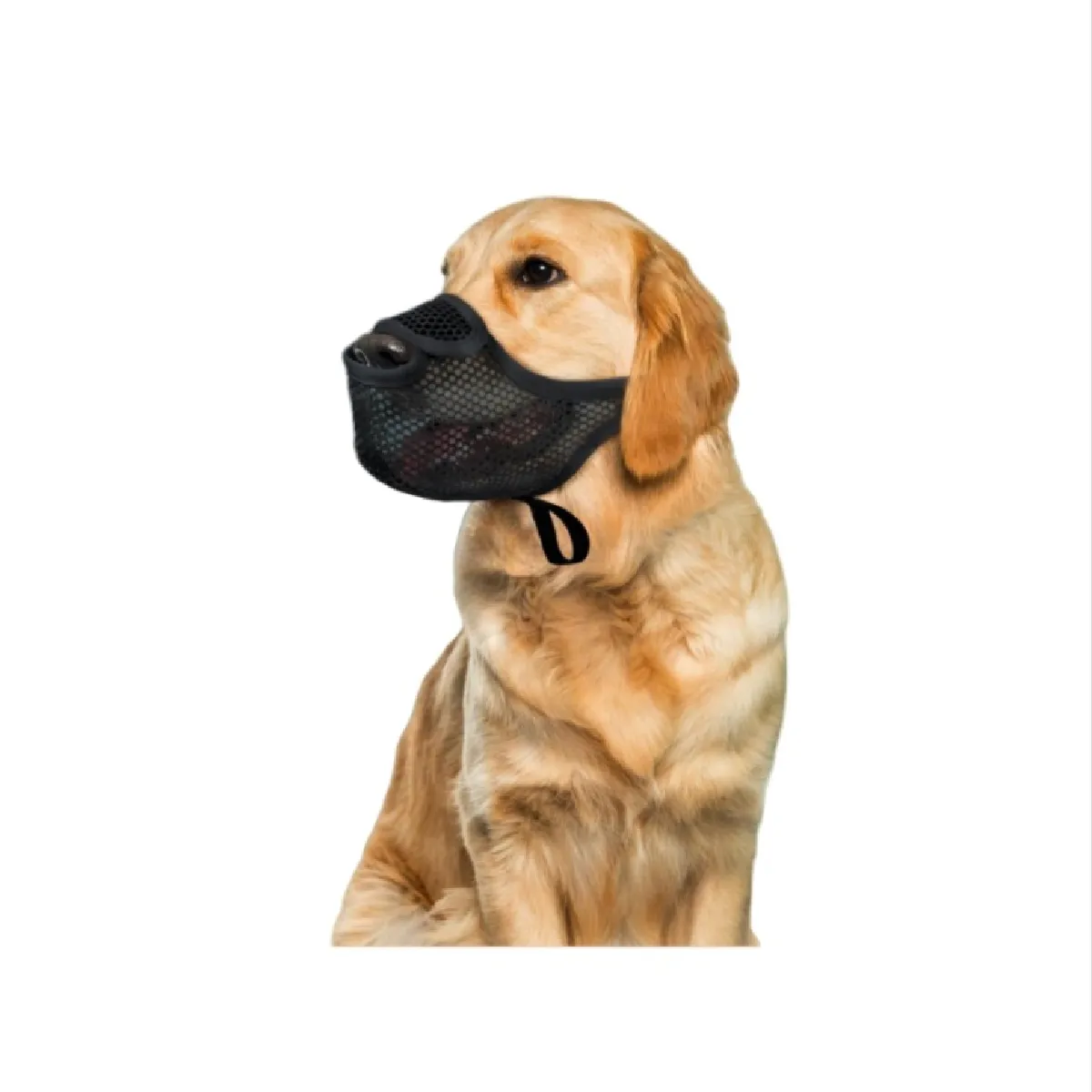 Muselière Anti-Ingestion pour Chien : Protection et Entraînement en Maille Aérée S