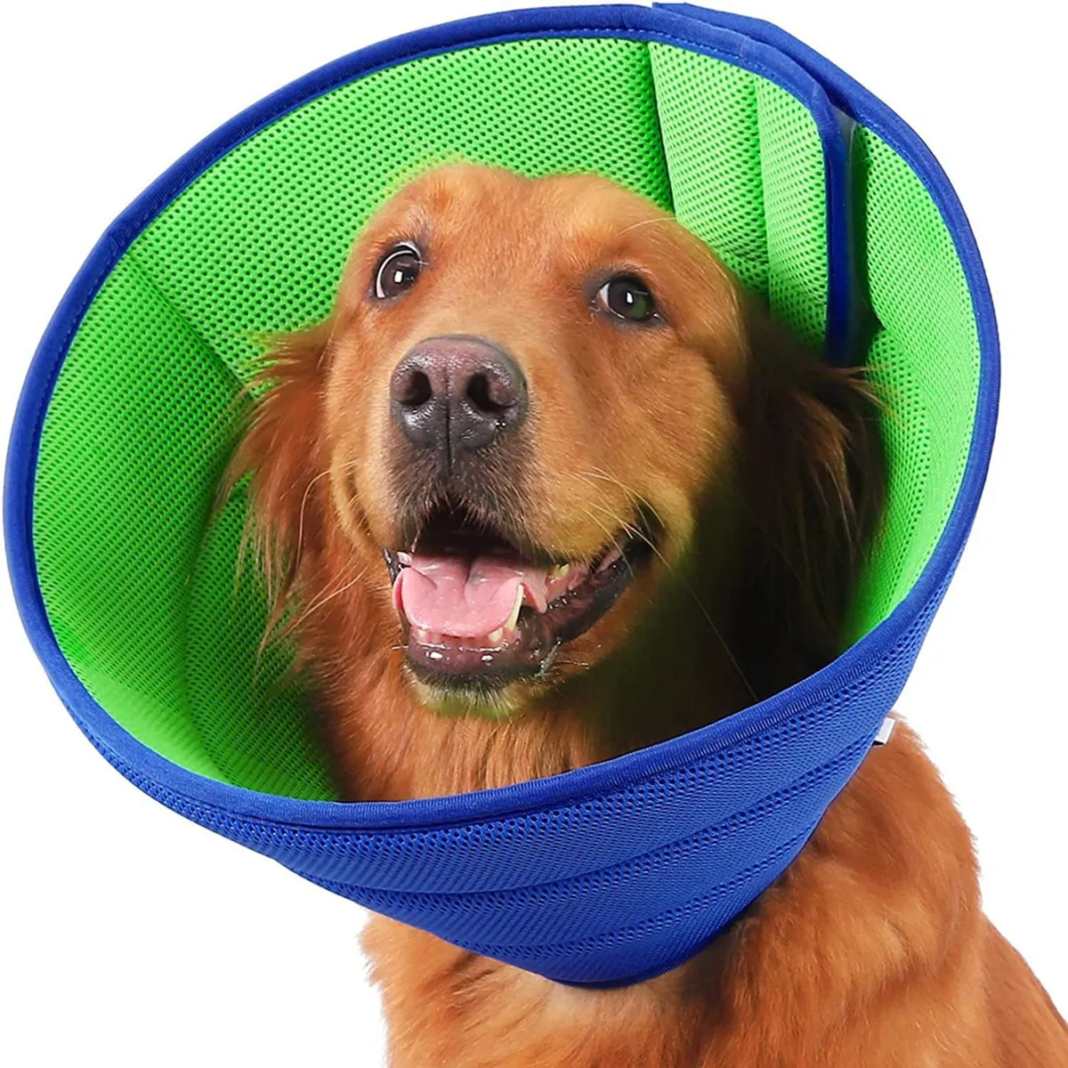 Collier Anti-Léchage et Morsure pour Chien et Chat, Cône de Protection pour Toilettage et
