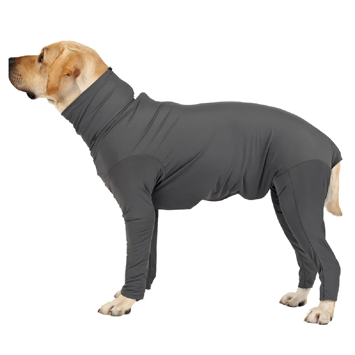 Combinaison pour chien XXXL