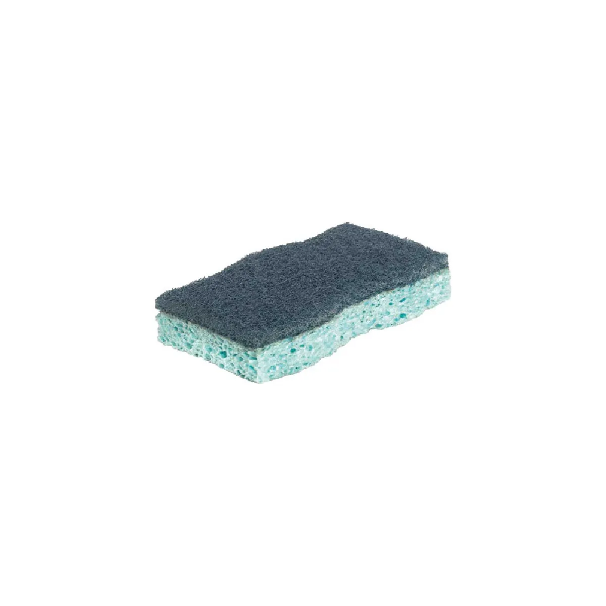 Vileda Pro Clean FHP Éponges de nettoyage Lot de 2