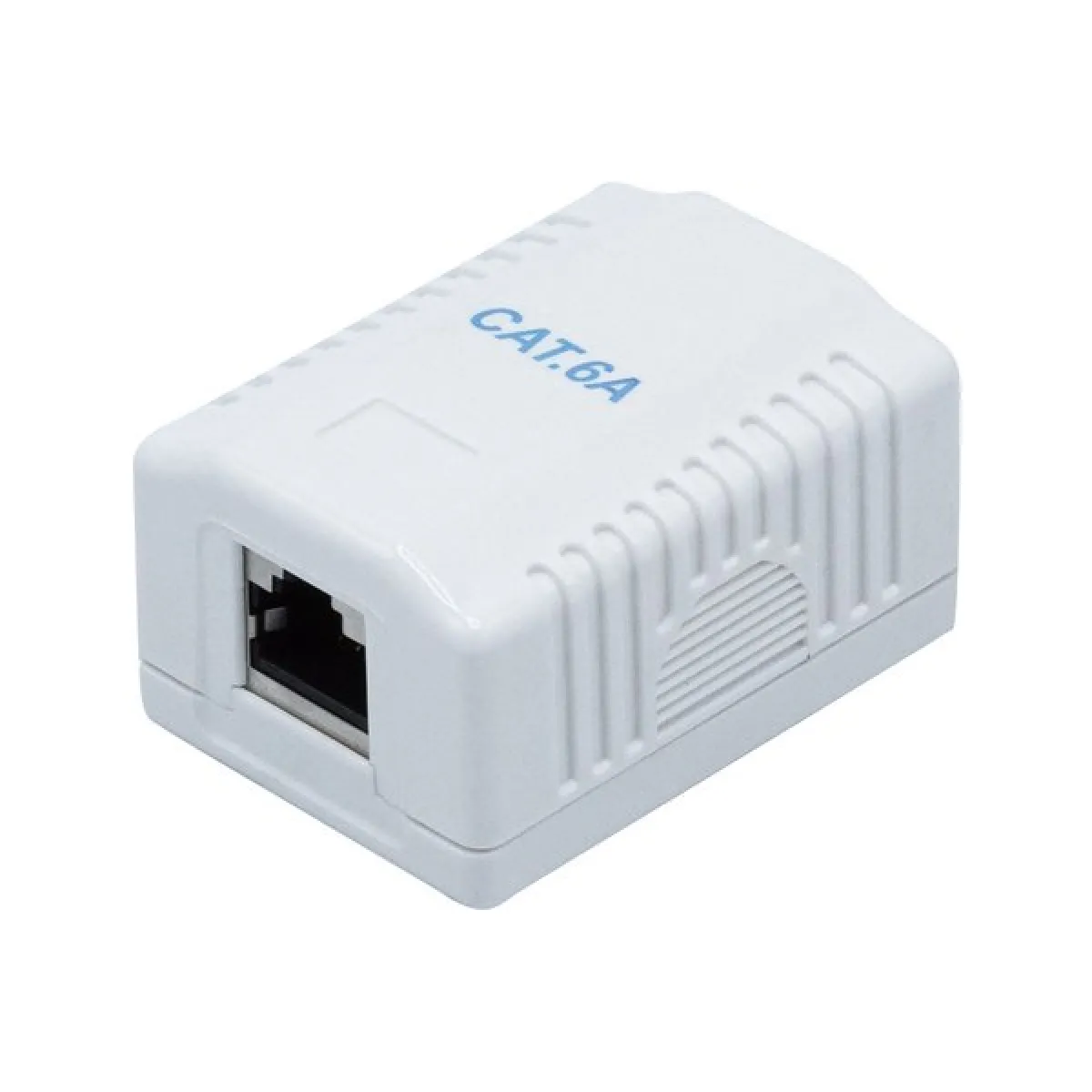 Dexlan Blanc Boîtier Mural Rj45 Cat 6A - 1 Port