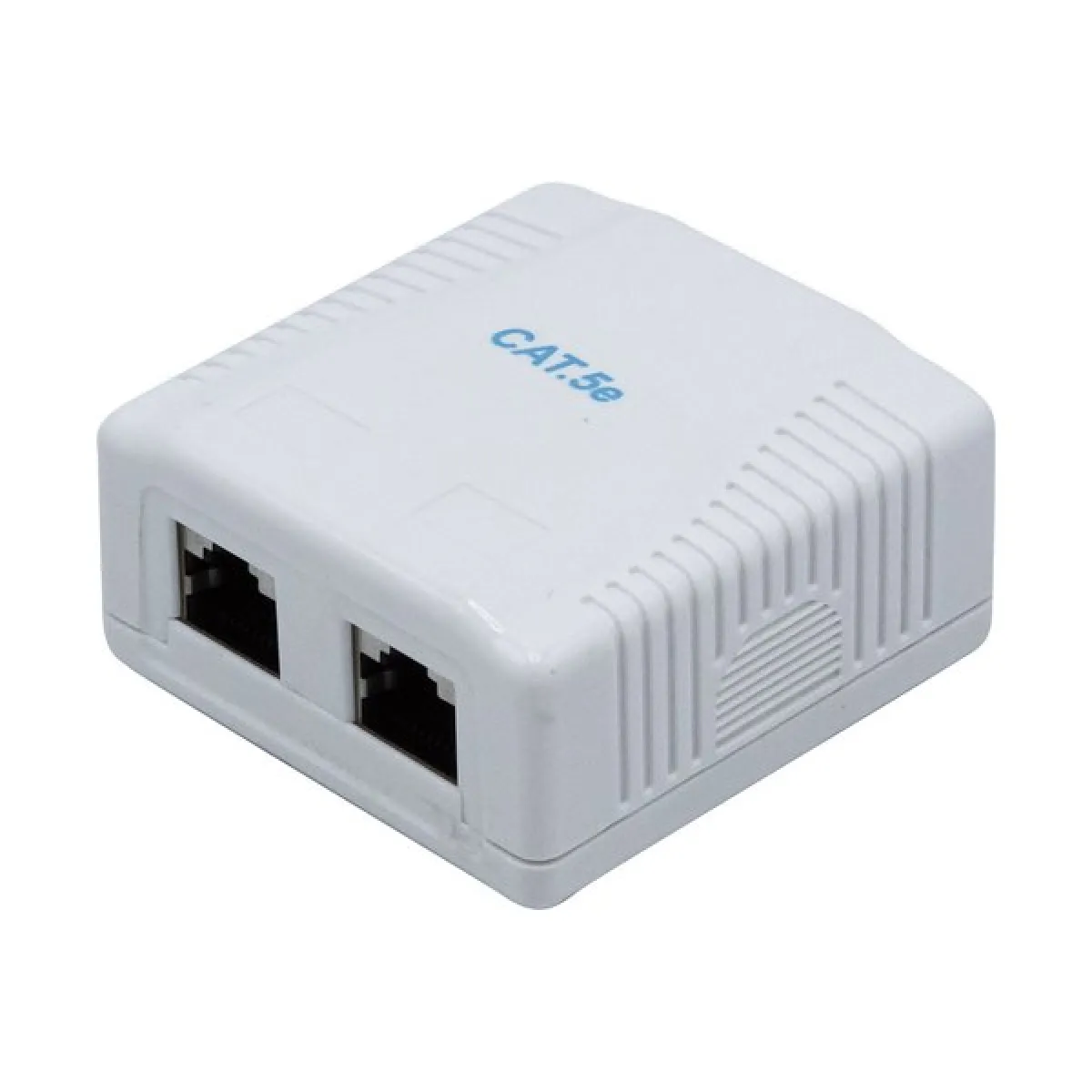 Dexlan Gris/Clair Câble Réseau Rj45 Cat. 5E - 1 M