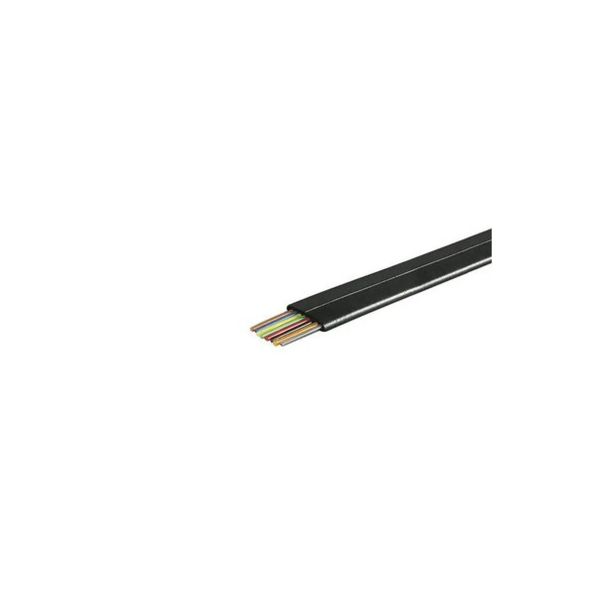 Dexlan Noir Câble Réseau Méplat Rj45 - 1 M