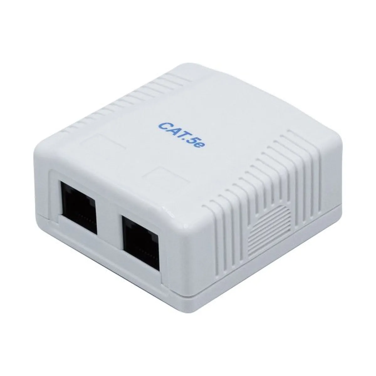 Dexlan Boîtier Mural Rj45 2 Ports Catégorie 5E
