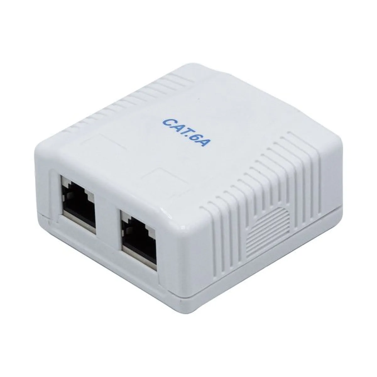 Dexlan Gris/Clair Boîtier Mural Rj45 Cat 6A - 2 Ports