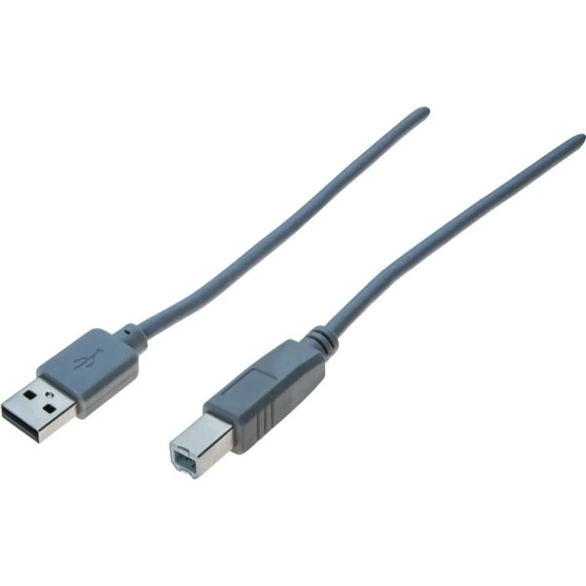 Dexlan Gris Cordon Éco Usb 2.0 Type A /B - 0,6 M
