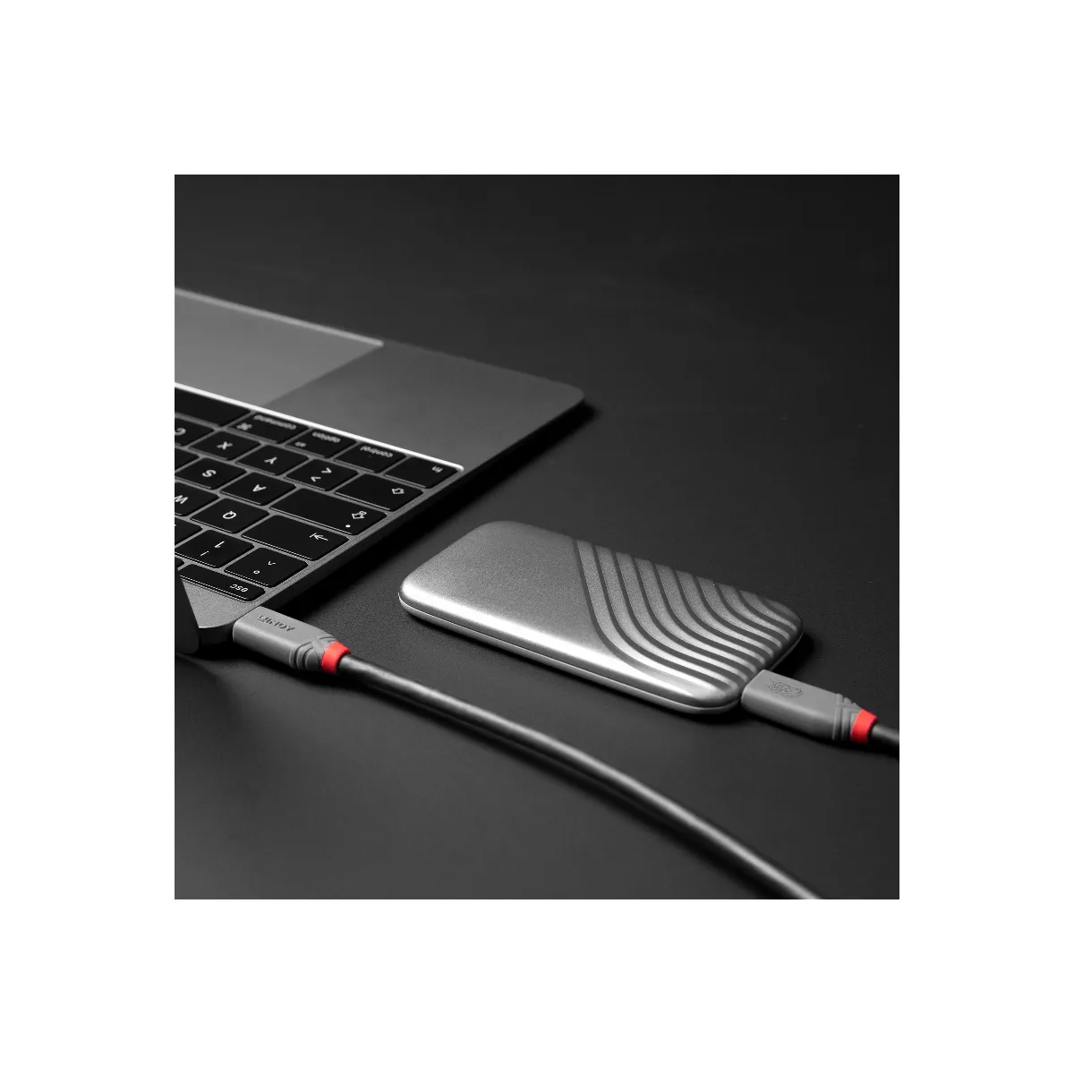 Lindy Câble Usb 4 Usb-C Anthra Line - 1 M