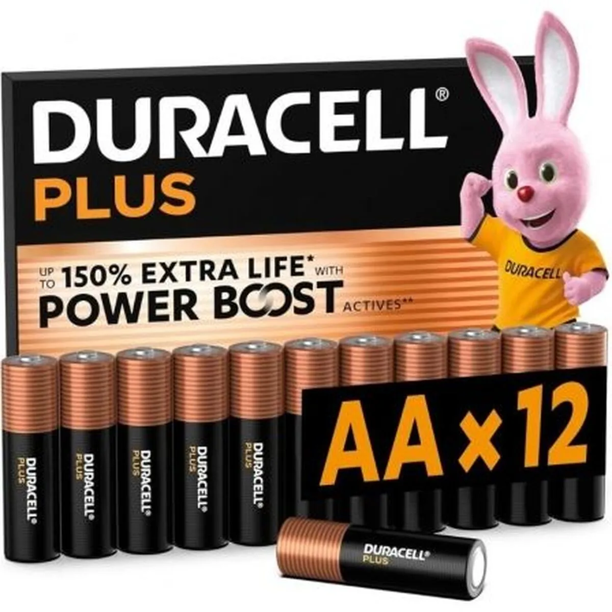 Duracell Piles Rechargeables DPBLR6B12 1,5 V