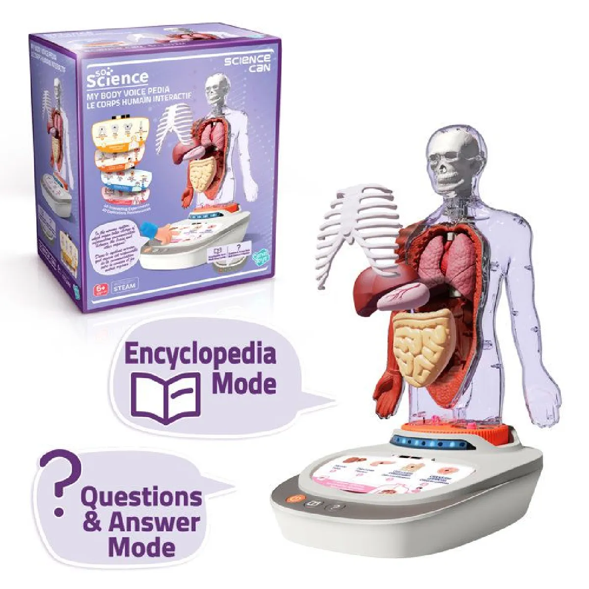 Canal Toys Coffret Science Corps Humain 3D
