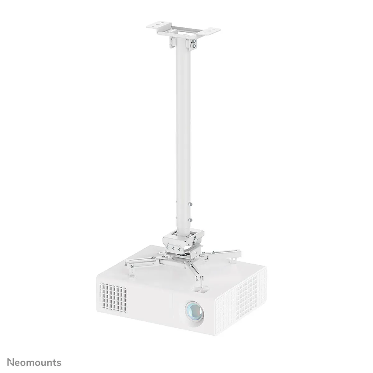 NEOMOUNTS Support de table d'&eacute;cran  CL25-550WH1
