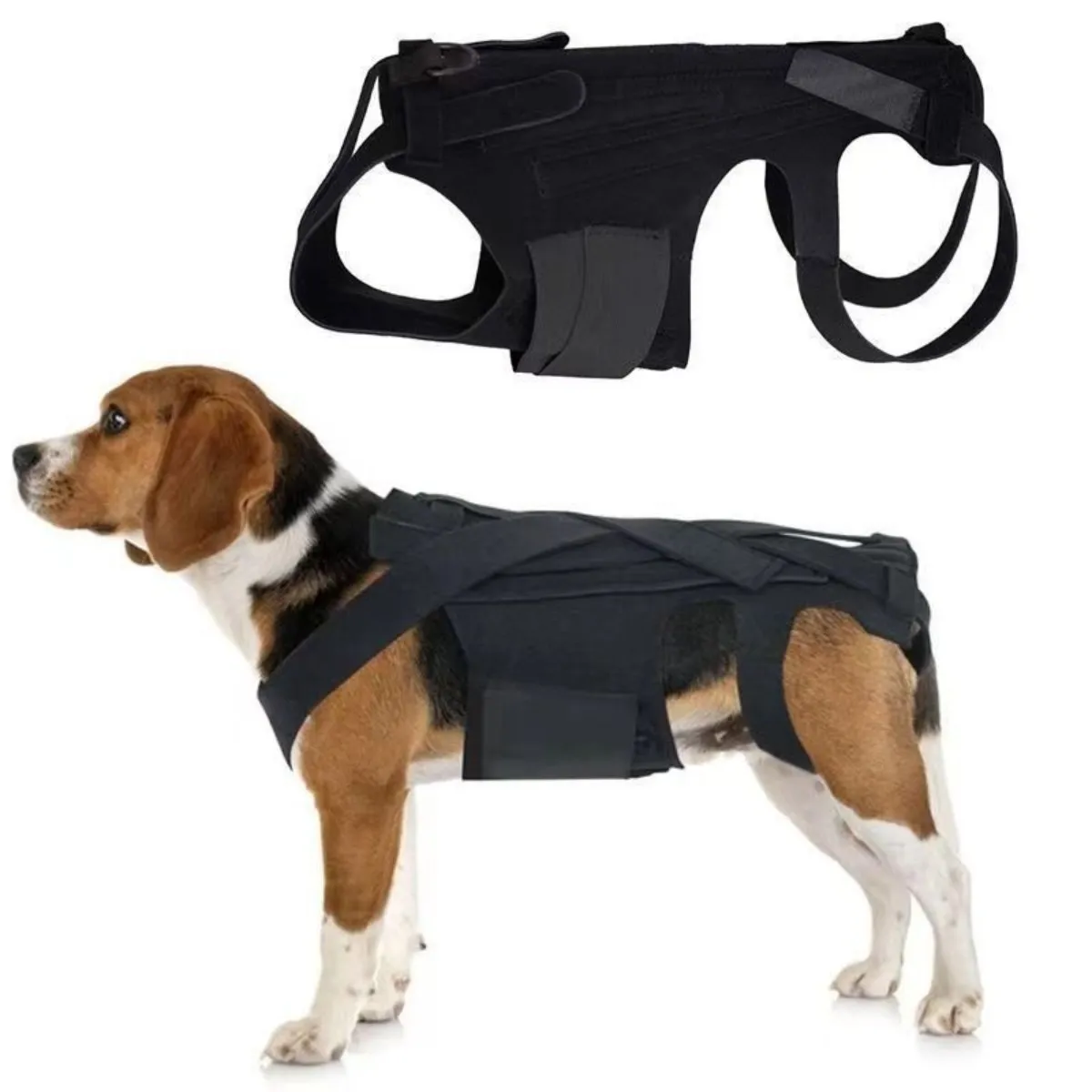 Harnais de soutien dorsal pour chien - Soutien spinal pour la récupération et la rééducati