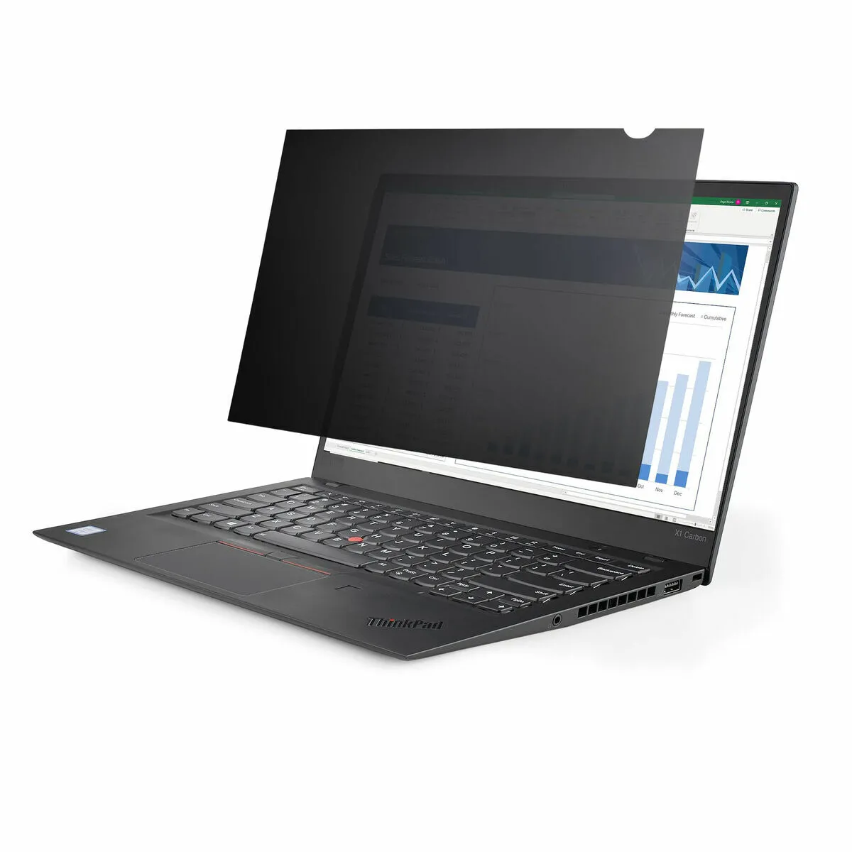 Startech.com Startech Filtre De Confidentialité 17.3"