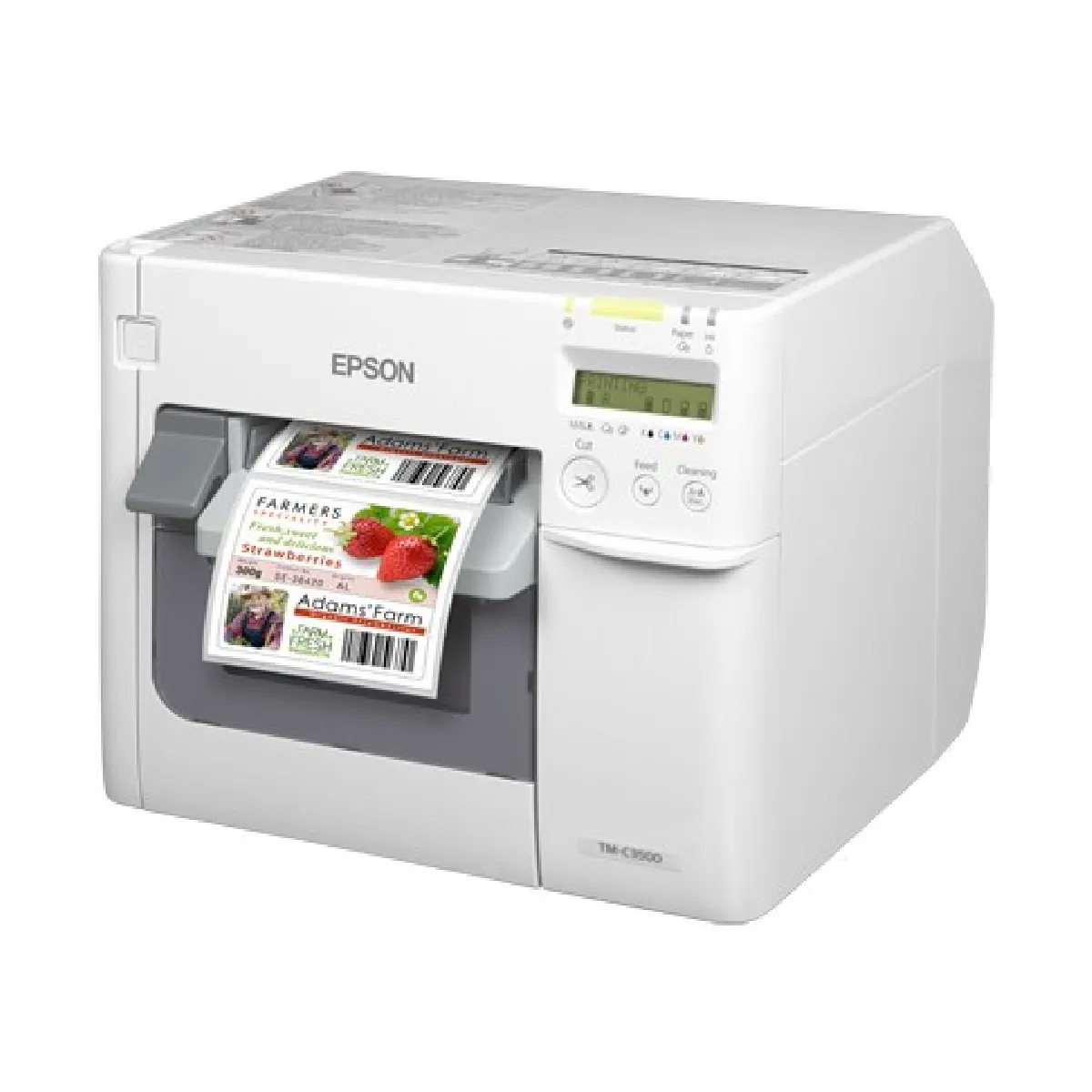 Epson TM C3500 - vue 8