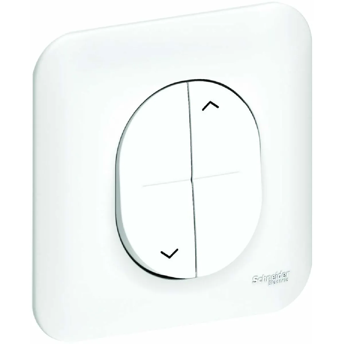 Schneider Ovalis S260704