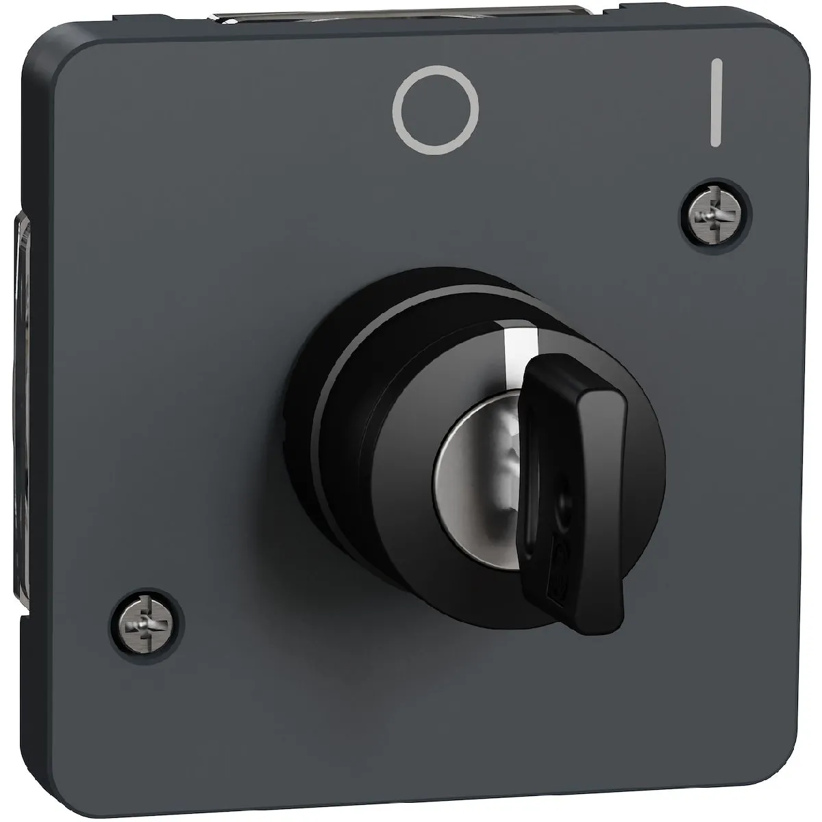 Schneider electric Mureva Styl - Gris