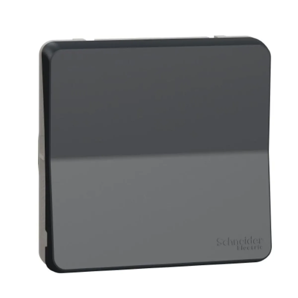 Schneider electric Mureva Styl - Gris