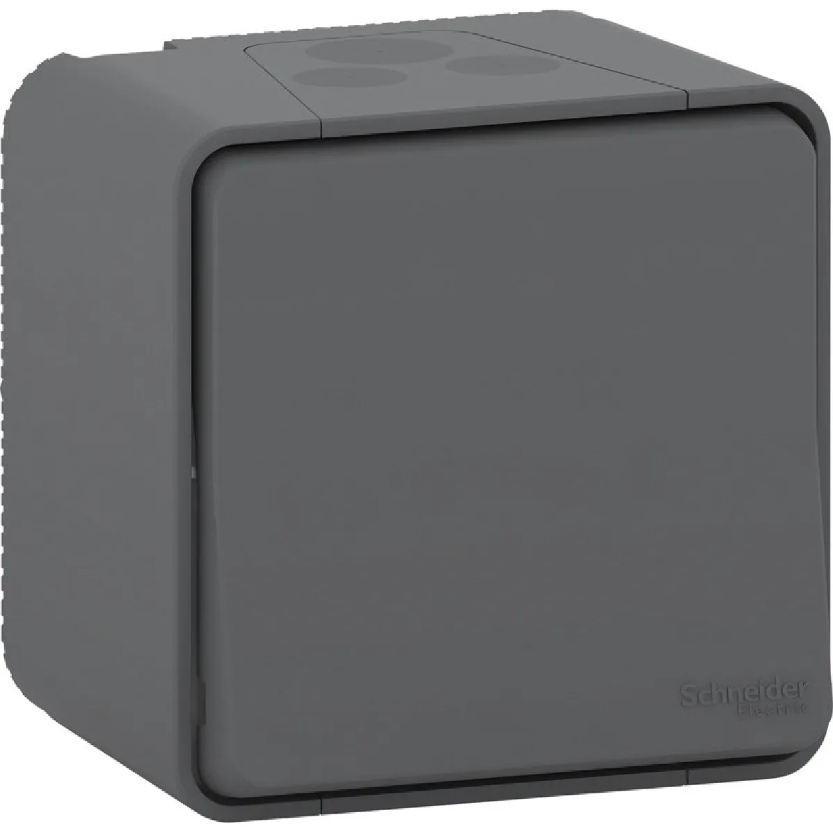 Schneider electric Mureva Styl - Anthracite