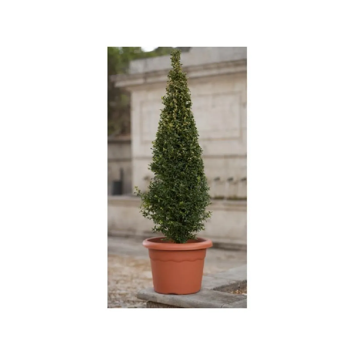 Plastiken pot de fleurs Terracotta