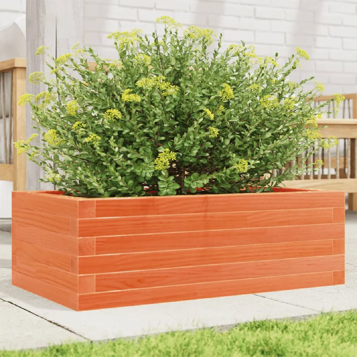 vidaXL - Jardinière - Bois de Pin Massif - Marron - 70x40x23 cm - Image 2