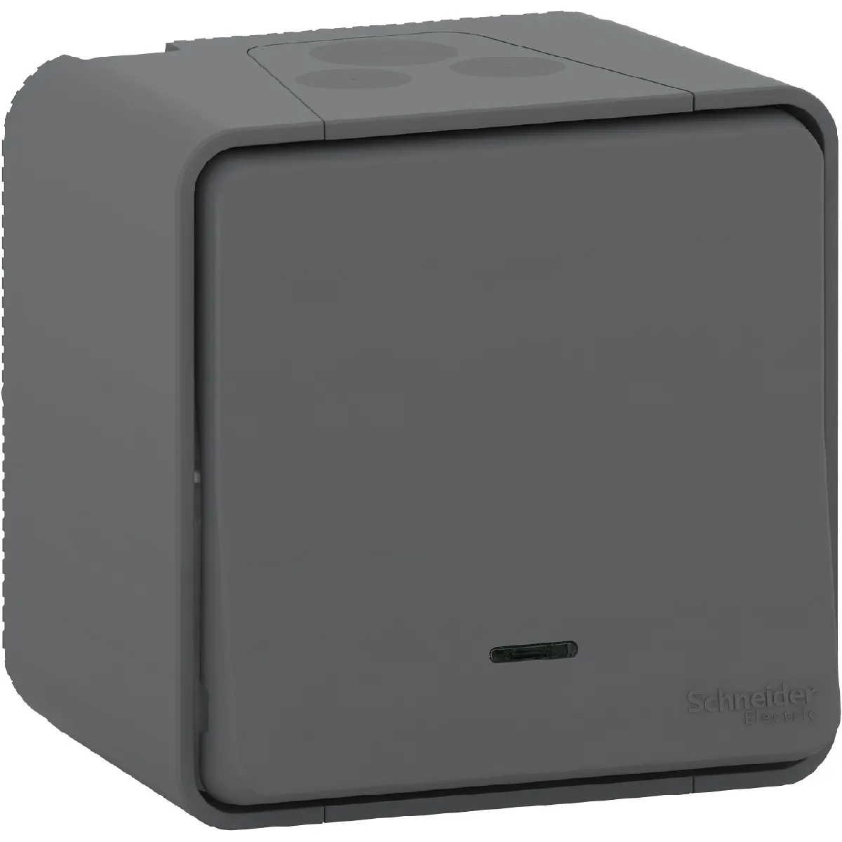 Schneider electric Mureva Styl - Gris