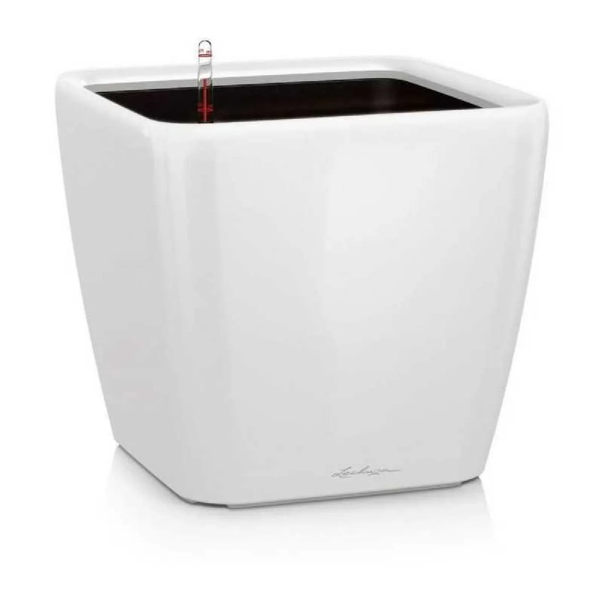 Lechuza Blanc Quadro Premium Ls 50 - 50 X 50 Cm - Couleur Sobre