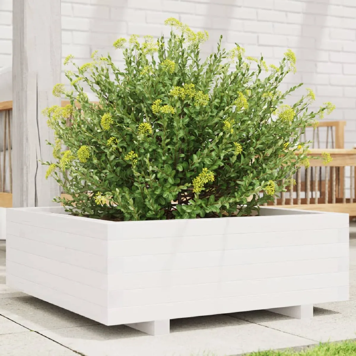 vidaXL - Jardinière - Bois de Pin - Blanc - 70x70x26,5 cm - Image 2
