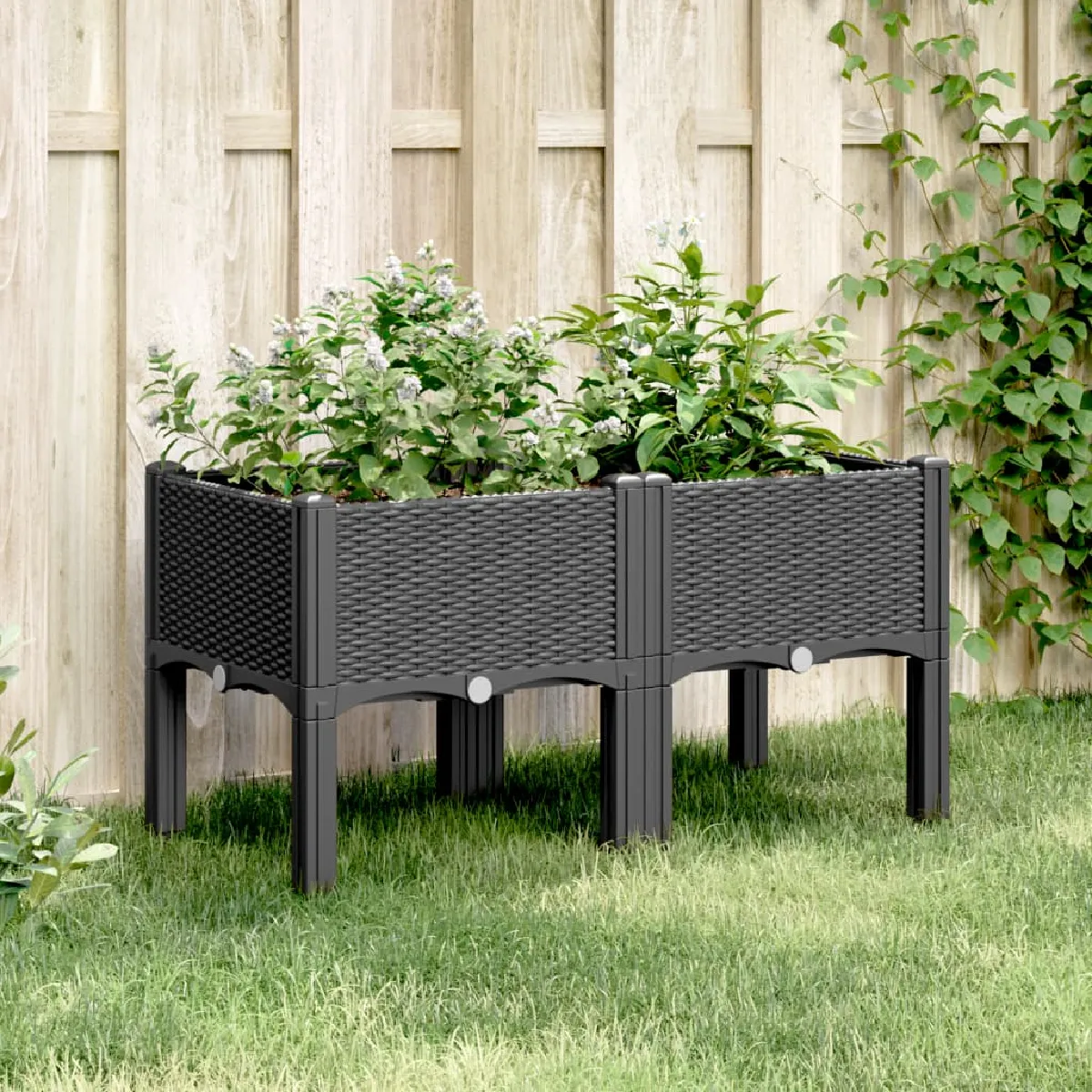 VIDAXL - Jardinière avec pieds - Noir - 80x40x42 cm - Image 2