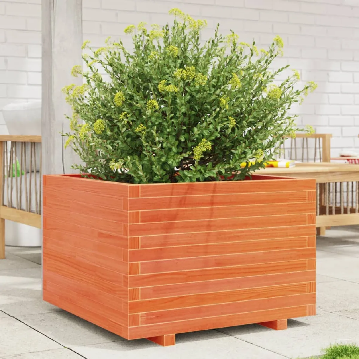 Vidaxl Marron Jardinière Cire 70X70x49,5 Cm