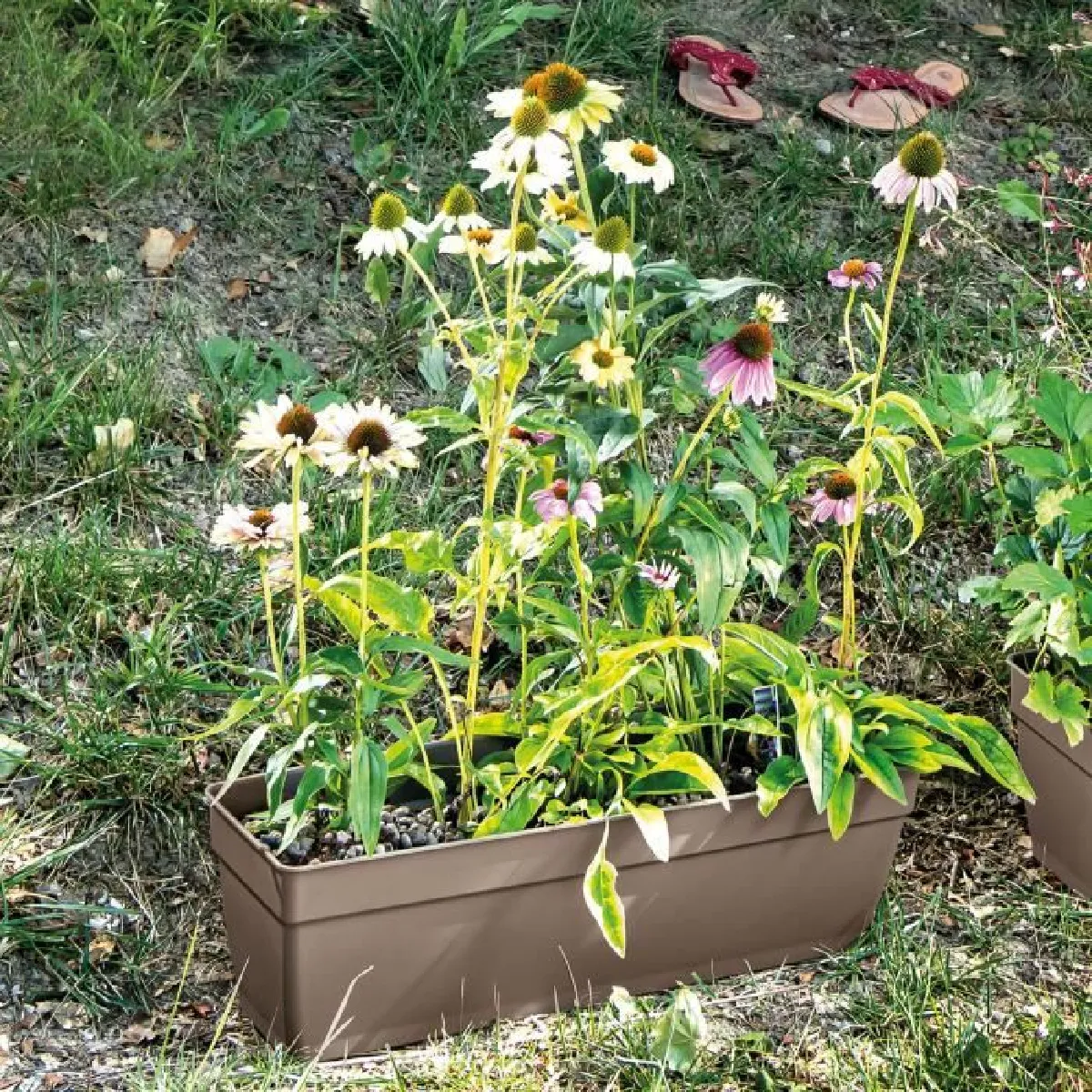 Muret haut LIKE R Hauteur 78 cm DEROMA - vue 5