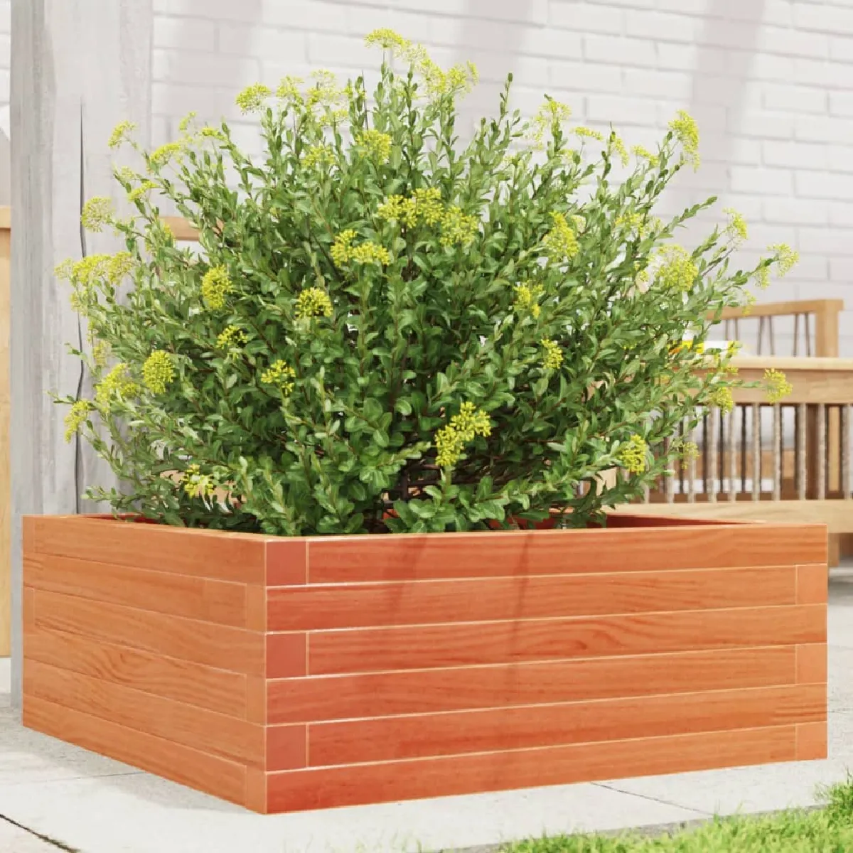 Non Communiqué Marron Jardinière Cire 60X60x23 Cm Bois De Pin Massif - Image 3