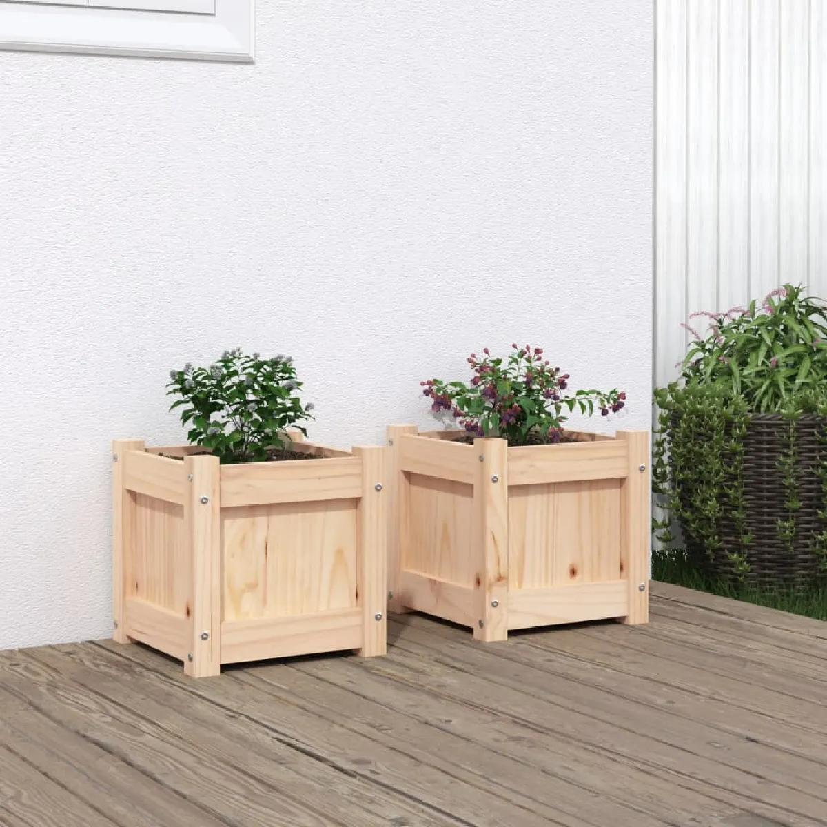 Vidaxl Jardinières 2 Pcs