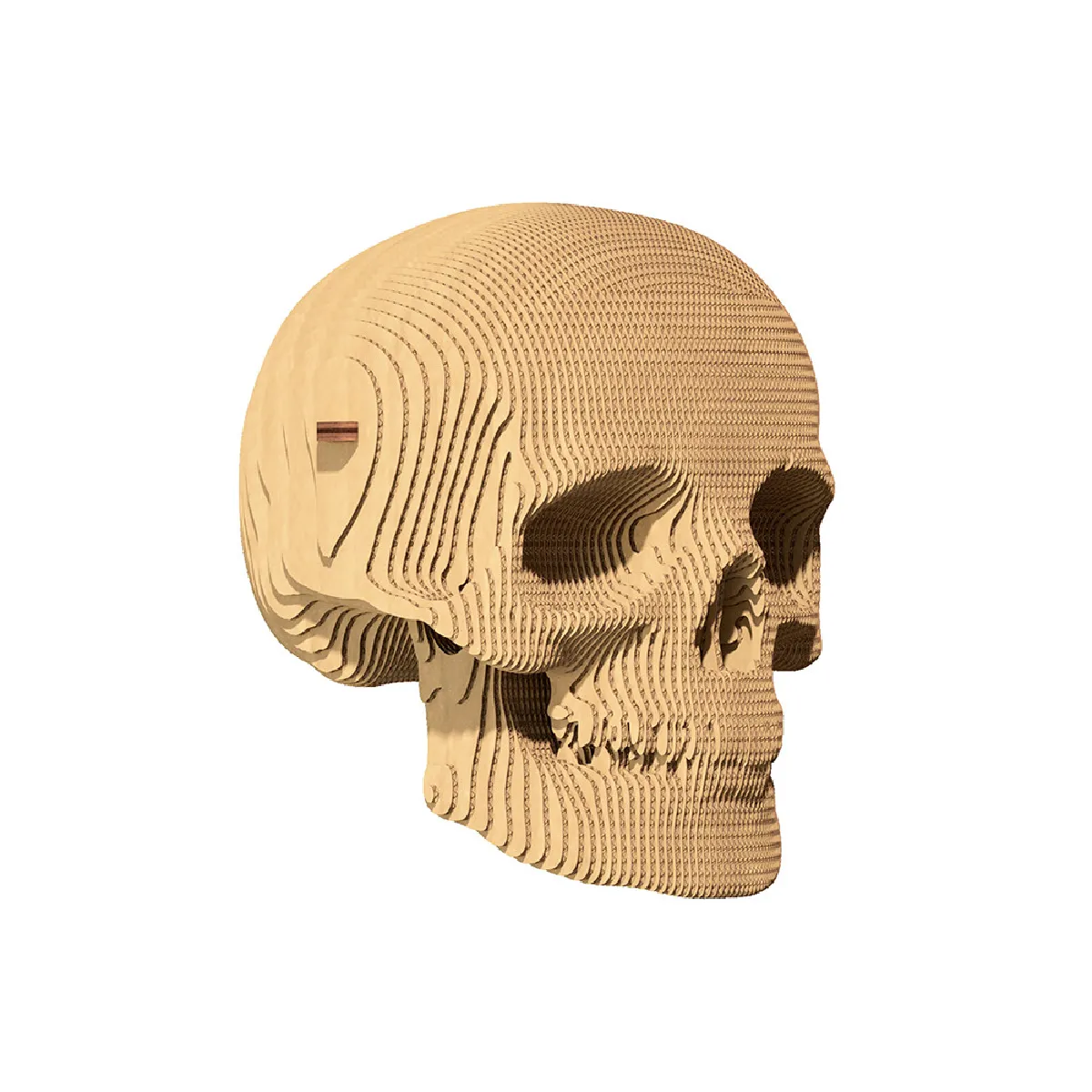 Puzzle 3D Tête de Mort Puzzle 3D Tête de Mort