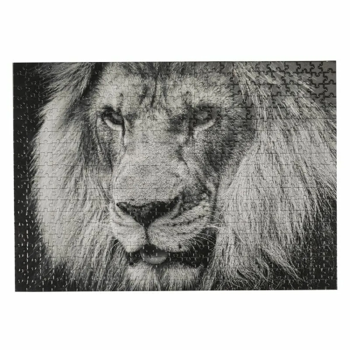 Paris prix Puzzle lion noir et blanc - 500 pièces