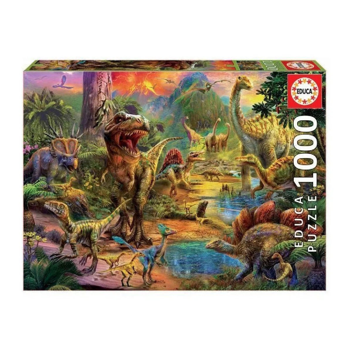 Non Communiqué Blanc Educa Puzzle 1000 Pieces - Terre De Dinosaures - Image 3