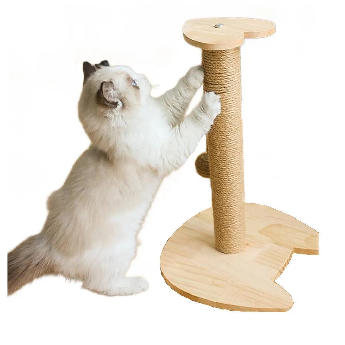 Meilleurs prix pour Grattoir Sisal Pour Chat