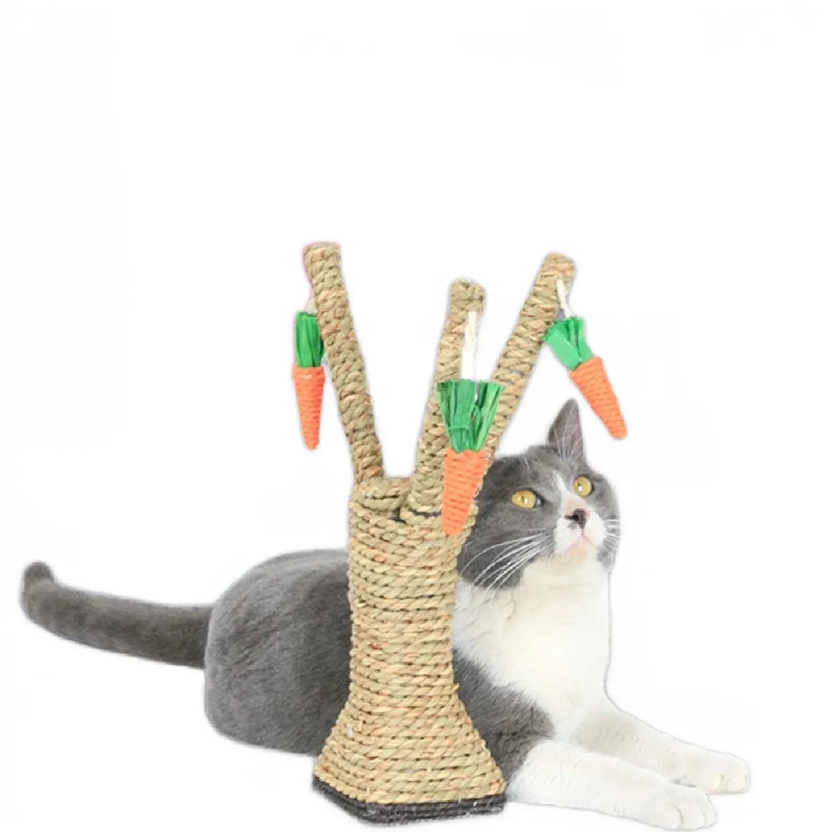 Comparer les prix de Carottes Animaux de compagnie Chats Jouets Chats Chats Escalade Cadre Posts Décoration Radis Arbre Interactif Tour Etagère Graffiti Chats Jouets   Meubles Égratignures