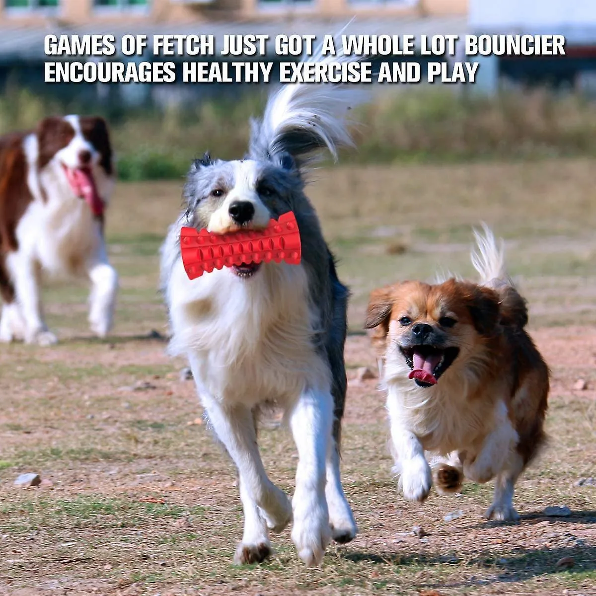 Meilleurs prix pour Heytea Jouet Chien Grinçant Presque Indestructible Jouet Chien Durable Jouet Chien A Mâcher Pour Grand Chien Agressif Jouet Bâton Jouet Chiot A Mâcher Avec N