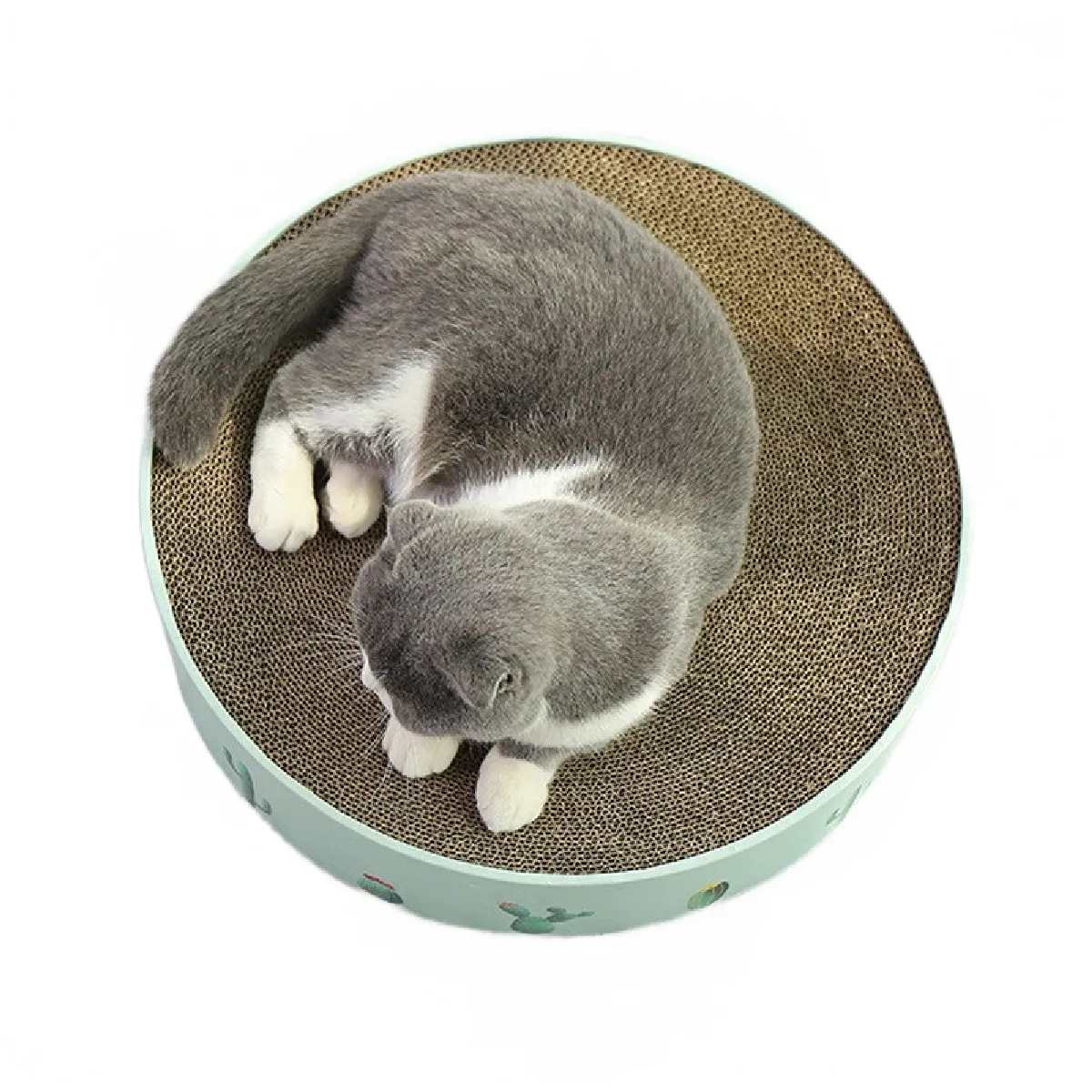 Meilleurs prix pour Carton ondulé griffes griffes pour chat meubles griffures animaux chat jouets clous graffeur lit chaton cactus