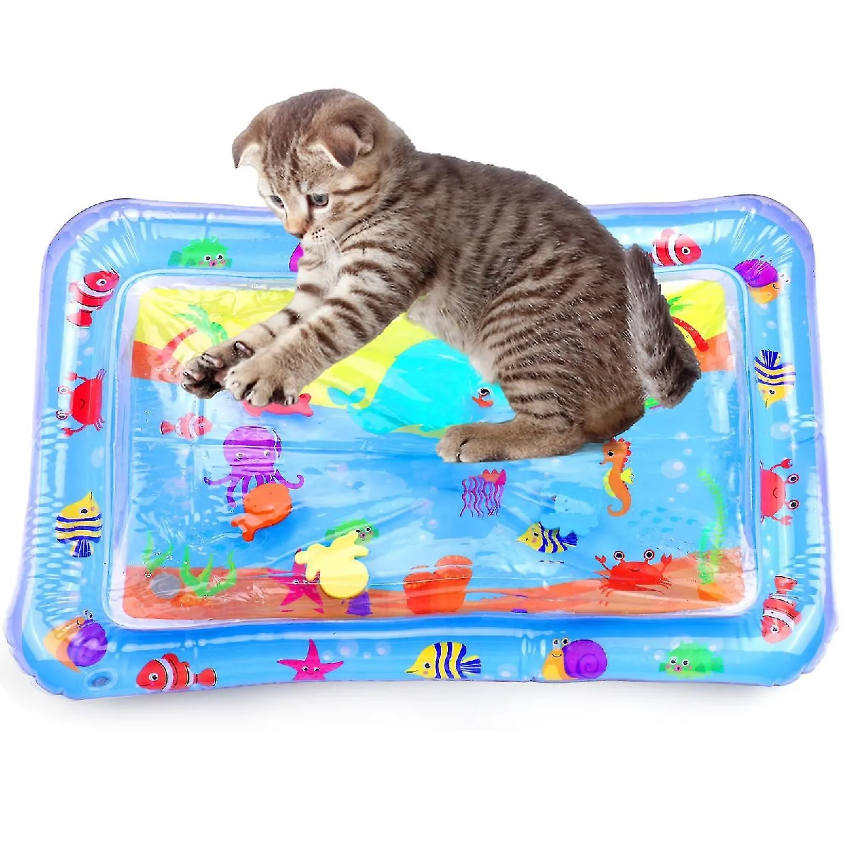 Hide And Seek Jouet Pour Chaton | Tapis De Jeu électrique De Chasse