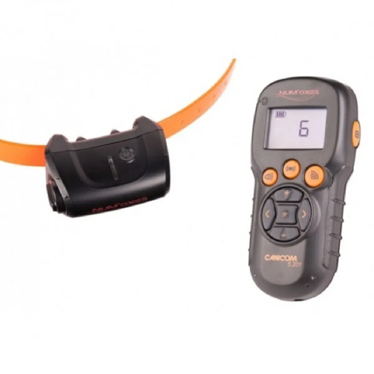 Numaxes Dressage Canicom 5.201 Numaxes Dressage Canicom 5.201