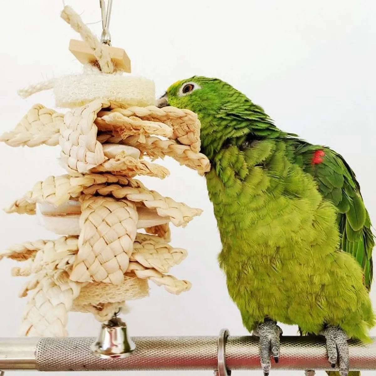 Comparer les prix de Jouet pour de morsure de flocon de maïs avec os de seiche et de