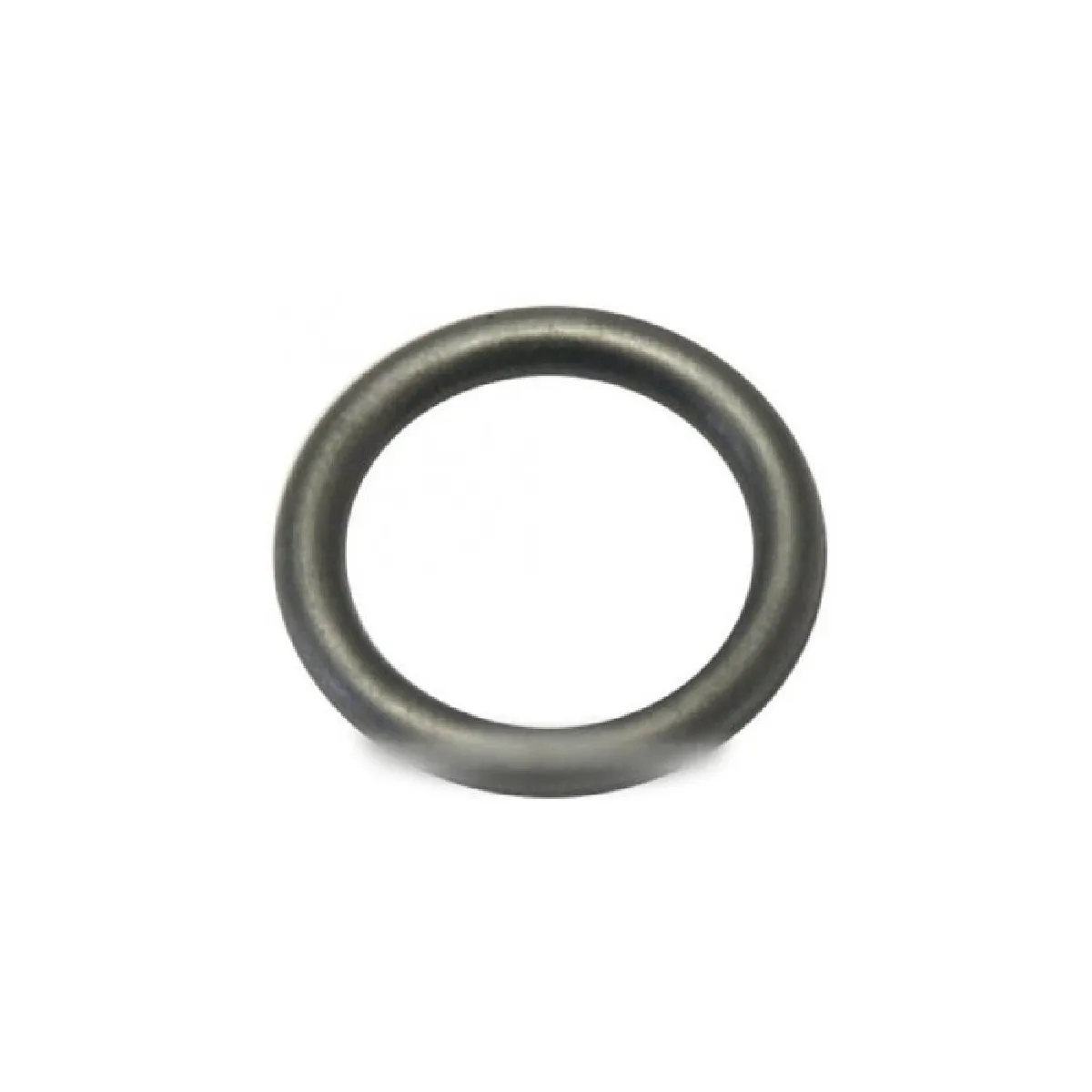 Polti Joint Torique R5