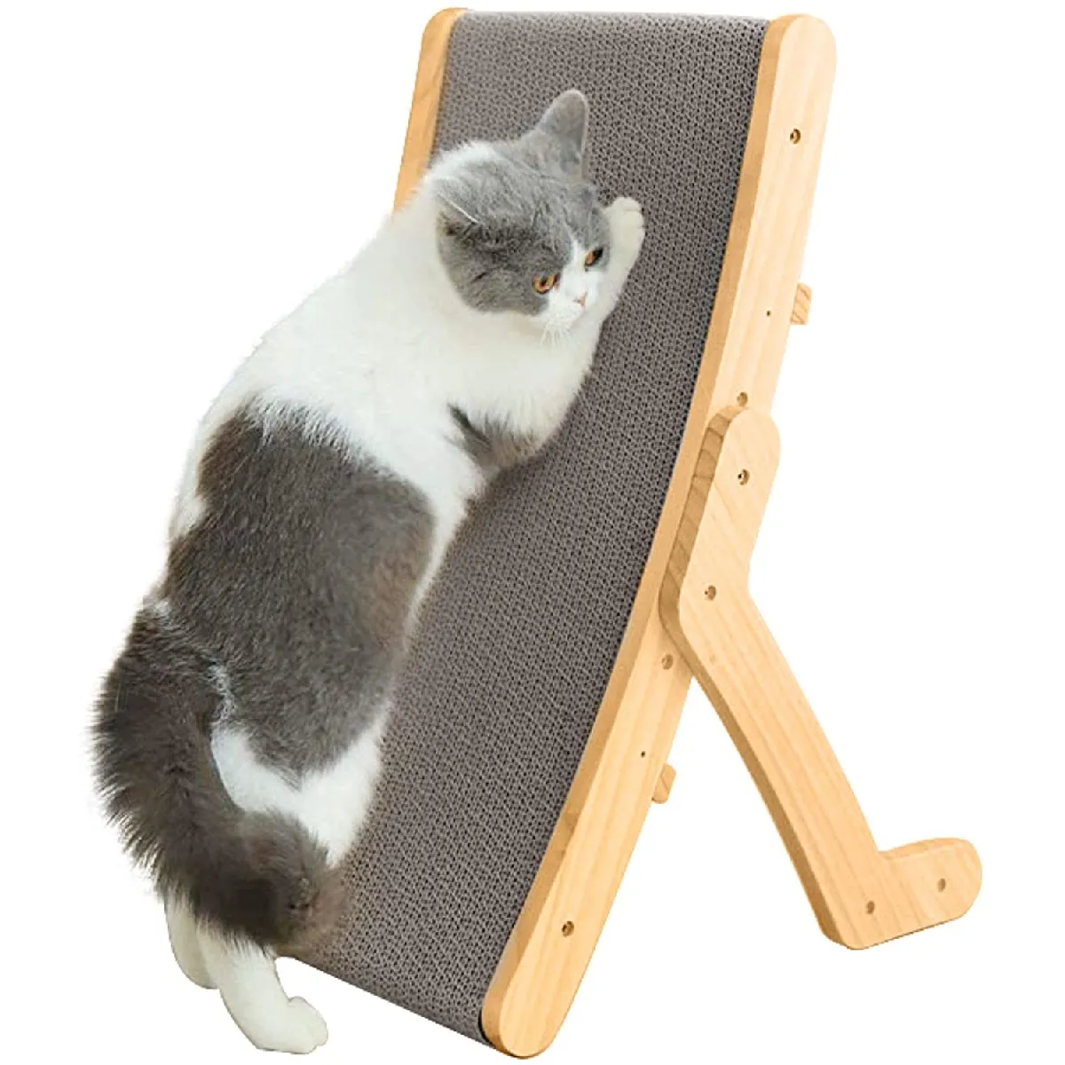 Meilleurs prix pour Jouet de grattage pour chat