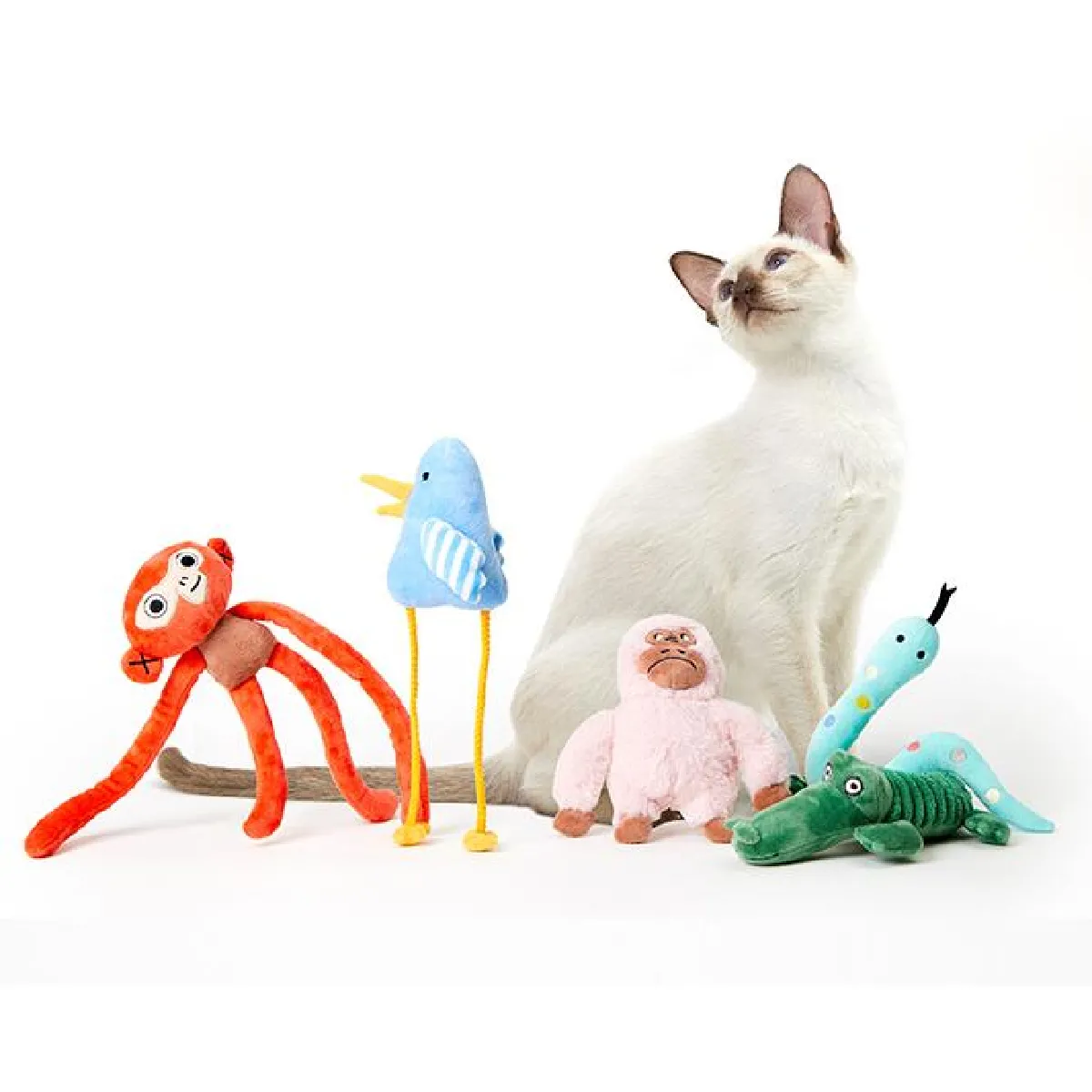 Comparer les prix de Jouets Chat Chatons