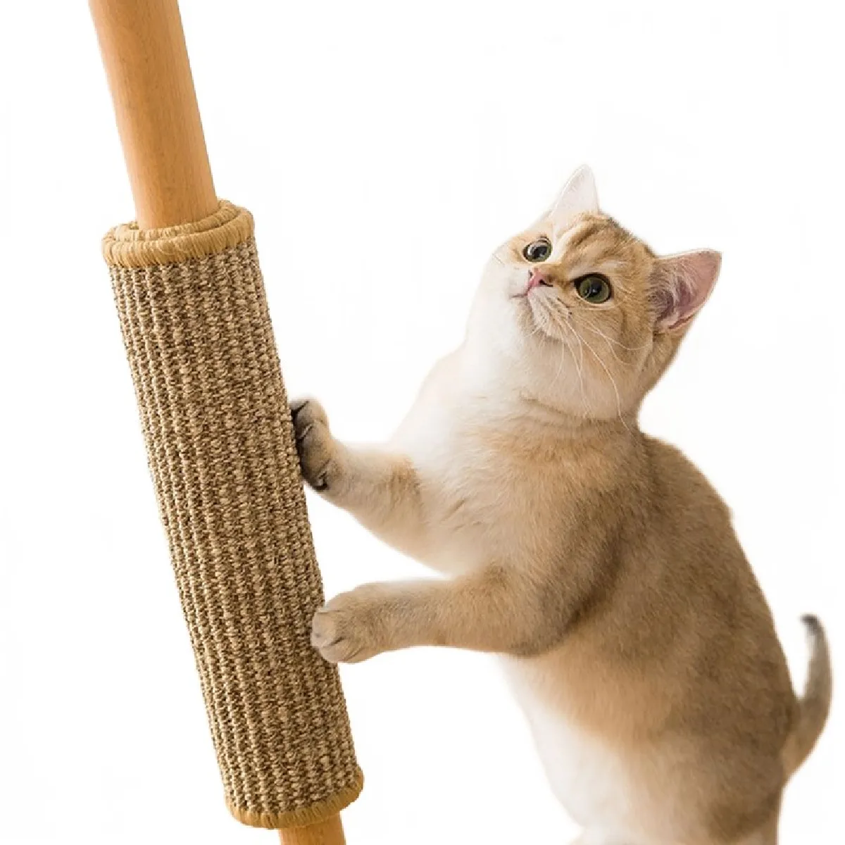 Meilleurs prix pour Canapé à sable résistant aux rayures et aux pellicules pour chat
