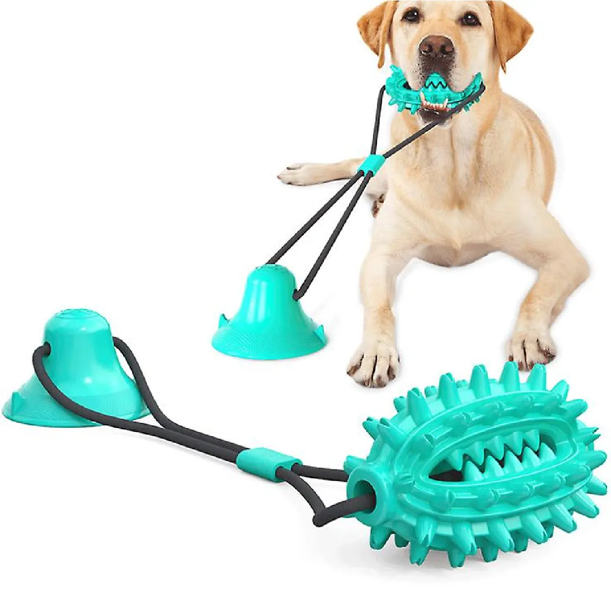 Meilleurs prix pour Boule à corde pour chien avec ventouse, jouet à mâcher pour chien, pour mâcher agressif, jouet à molaire pour chien résistant aux médicaments (bleu)
