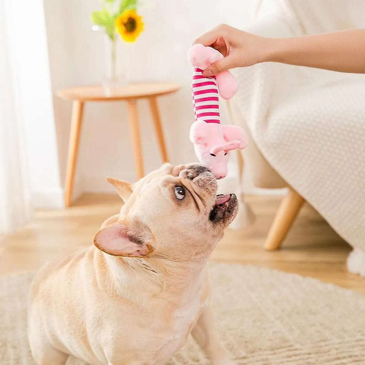 Meilleurs prix pour 2023 Nouveau Jouet Pour Chien Pour Petits Chiens Chat En Peluche Couinement Jouets En Peluche Polaire Durable À Mâcher Mignon Peluche Jouet Molaire Pour Animaux De Compagnie Accessoires Pour Chiens