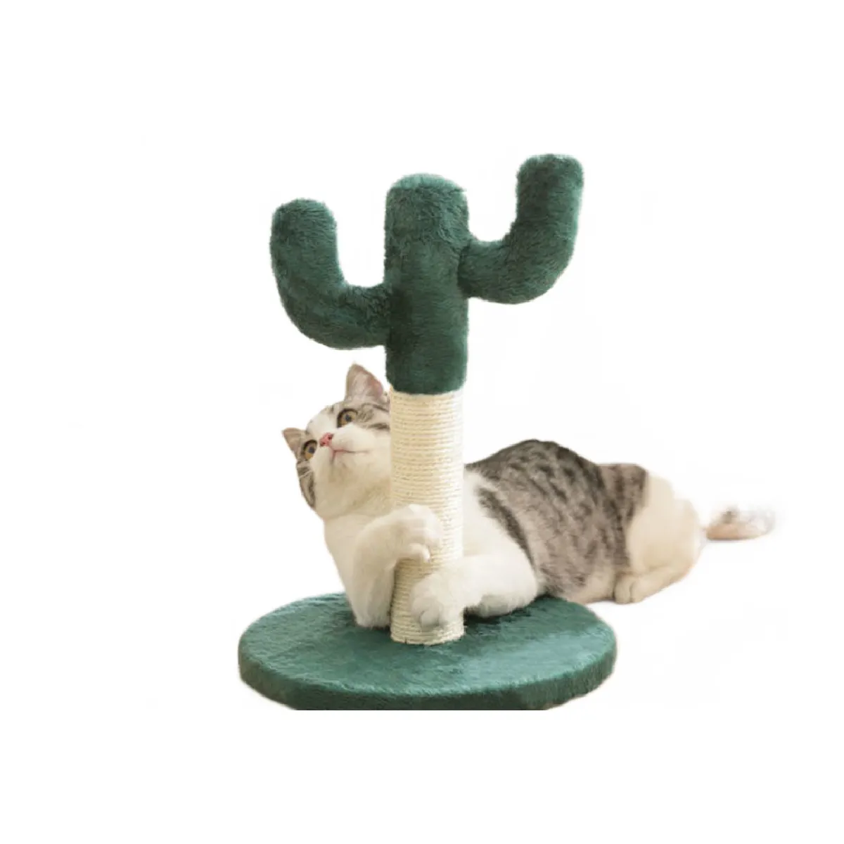 Meilleurs prix pour Le chat grimpe le cadre, le nid, un chat en sisal, la villa de l'arbre, le comité de la griffe du chat, les jouets de la griffe du chat, les articles de chat.