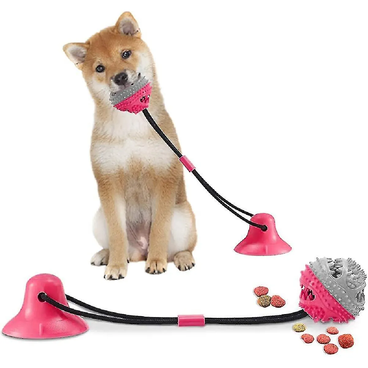 Comparer les prix de Jouet pour chien avec ventouse Heilwiy Brosse à dents pour chien Heilwiy Pet Molar Chew Toy Heilwiy Dog Brosse à dents Jouet à mâcher Cadeau