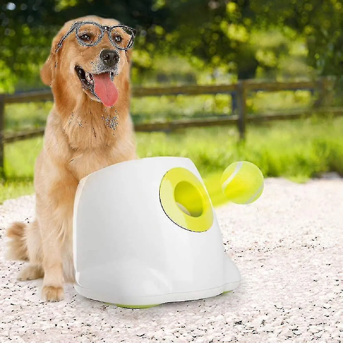 Comparer les prix de Lanceur de balle automatique interactif pour chiens, machine à lancer de balles de tennis pour chiens pour petite, moyenne grande taille, 3 balles incluses